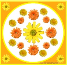 Blumen-Mandala-1.pdf